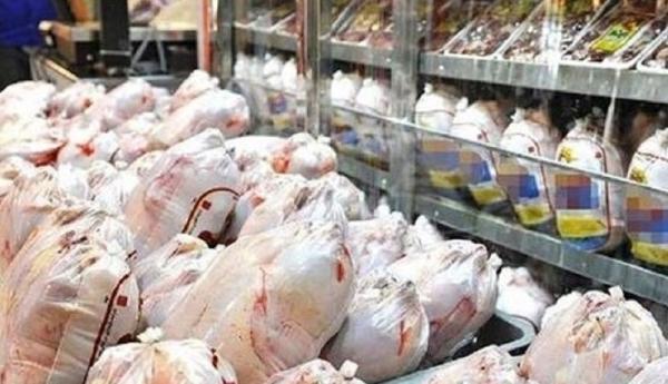 جمع آوری مرغ از سطح بازار
